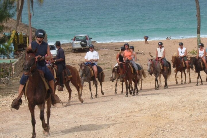 Amazing 3-Hour Horseback Riding at Puerto Plata with Pickup - Photo 1 of 6